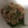 ma___111's cooksnap of when they made マグロのなめろう.