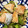 いかめし321's cooksnap of when they made ご飯が進む 鮭のちゃんちゃん焼き風.
