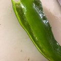 もきち☆'s cooksnap of when they made 万願寺シシトウ（とうがらし）の種だし方.