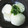 ＊coron＊'s cooksnap of when they made 大根の白だしあんかけ.