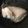 M321Y's cooksnap of when they made ずぼらだけど、メチャクチャしっとりゆで鶏.