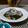 ダイナマイト漆黒's cooksnap of when they made ★刺身ワカメと〆鯖の葱和え★.