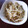 つよまり's cooksnap of when they made ごま香る！速攻！やみつきもやし炒め.