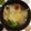 あきなふ's cooksnap of when they made しょうがが決め手！あったかポトフ.