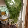 クックYFJ12N☆'s cooksnap of when they made 水菜・セロリ等の保存方法♪.