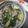 ジョングレ's cooksnap of when they made わかめと油揚げの♪あんかけうどん.
