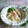 ダヤンCafé's cooksnap of when they made とろとろ！白菜とツナの豆乳煮.