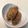 しやばち's cooksnap of when they made ごぼうの豚バラ巻き 圧力鍋で簡単.
