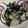 黒蜜さつまいもきな子's cooksnap of when they made 茄子しめじツナの和風パスタ.
