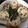 せりあ☆16's cooksnap of when they made 節約！ レンコンはさみ焼き 梅風味.