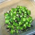 iam39's cooksnap of when they made 簡単☆四角豆の塩昆布炒め.