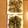 なっぴーこーぴー's cooksnap of when they made 里芋の皮のかき揚げ.