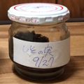 mycooknote's cooksnap of when they made しその実のお酢漬け.