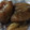 クックR5CMFN☆'s cooksnap of when they made 10分！イチジクの赤ワイン煮とゼリー.