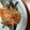 botokie's cooksnap of when they made テリッと旨い☆照り焼きシシャモのマリネ☆.