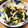 YUKIKI☆'s cooksnap of when they made しめじとわかめのコク旨おひたし♪.
