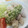 白坂こばめ's cooksnap of when they made 簡単　ゆで鶏のねぎ塩だれ.
