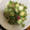 にむばすしゅたーぜん's cooksnap of when they made きゅうりとかいわれの梅おかか和え.