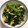 ゆうあつ12's cooksnap of when they made 小松菜と厚揚げの炒め物.