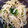 Hamachi_'s cooksnap of when they made 冷凍ほうれん草ともやしのナムル.