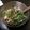 みねか's cooksnap of when they made 大量消費！茹で水菜のサラダ.