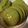 Akash1's cooksnap of when they made サクサクしとるわ。米粉の抹茶クッキー.