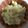 ma___111's cooksnap of when they made [防災レシピ]じゃがりこでポテトサラダ.