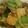 でぶねこパンチ's cooksnap of when they made 青梗菜と豆腐の中華炒め.