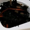 ゆいちゃーれむ's cooksnap of when they made ひじきの煮物。備忘録！.