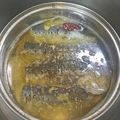 attaka's cooksnap of when they made 手作り保存食♪圧力鍋でオイルサーディン.