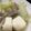 piro0204's cooksnap of when they made 冬にお手軽あったか！ 昆布茶で肉湯豆腐鍋.