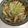 キャップとラム's cooksnap of when they made えのき酢.