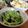 低カロ探検隊's cooksnap of when they made 【常備菜】小松菜の胡麻和え.