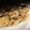 クックXUDULX☆'s cooksnap of when they made 中力粉で簡単クッキー(薄力粉も可).