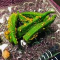 CS★C's cooksnap of when they made 5分でスピードオクラごま和え.