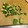クックBGQL67☆'s cooksnap of when they made 簡単！アボカドの切り方〜角切り〜.
