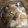 りーそー's cooksnap of when they made 洋梨と生ハムのサラダ.