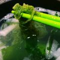 （＊あωや＊）'s cooksnap of when they made 今が旬？生めかぶの食べ方②（味噌汁）.
