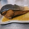 yhlk's cooksnap of when they made ハマチの煮付け.