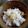 クックH86AFM☆'s cooksnap of when they made ズボラにちょいと楽チンな栗の皮むき。.