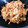 ひんたちゃん's cooksnap of when they made ふだえのき！豚肉とえのき茸の炒めもの.