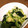 グラターイ's cooksnap of when they made すし酢で簡単！わかめときゅうりの酢の物.