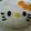 shouko's cooksnap of when they made キティちゃん☆キャラ弁.