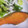 まめカッチー's cooksnap of when they made 簡単★鮭のムニエル.