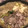しょーばお's cooksnap of when they made 伝家宝刀!関西人が作る!すき焼き!.