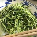 うみぽ0923's cooksnap of when they made 豆もやしと豆苗の花椒炒め.