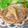 mielle's cooksnap of when they made みょうが好きのみょうがの天ぷら♡.