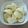 ラリー＆サラ's cooksnap of when they made ＊りんごの保存方法　簡単＊.