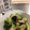 カルビユッケ's cooksnap of when they made なすときゅうりのごま油和え.