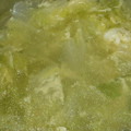 ホーリー1203's cooksnap of when they made 白菜スープ 柚子胡椒風味 ダシダで簡単!.